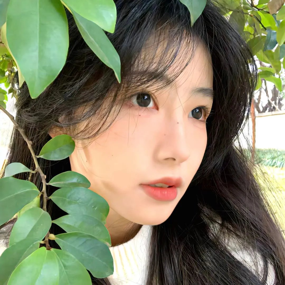 三个带面纱的女子